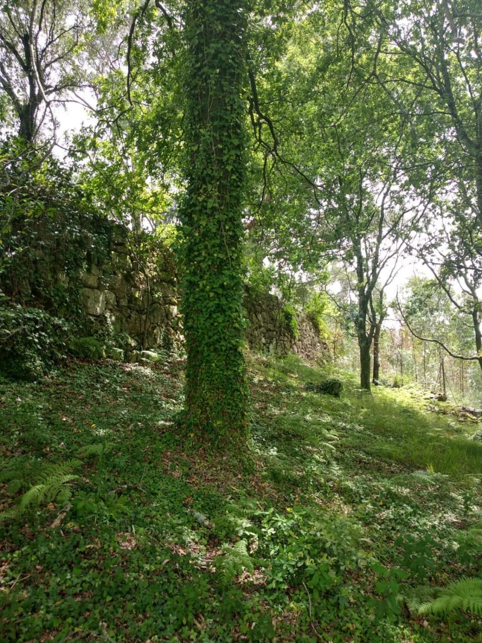 Quinta Gerês Terras de Bouro Exterior foto