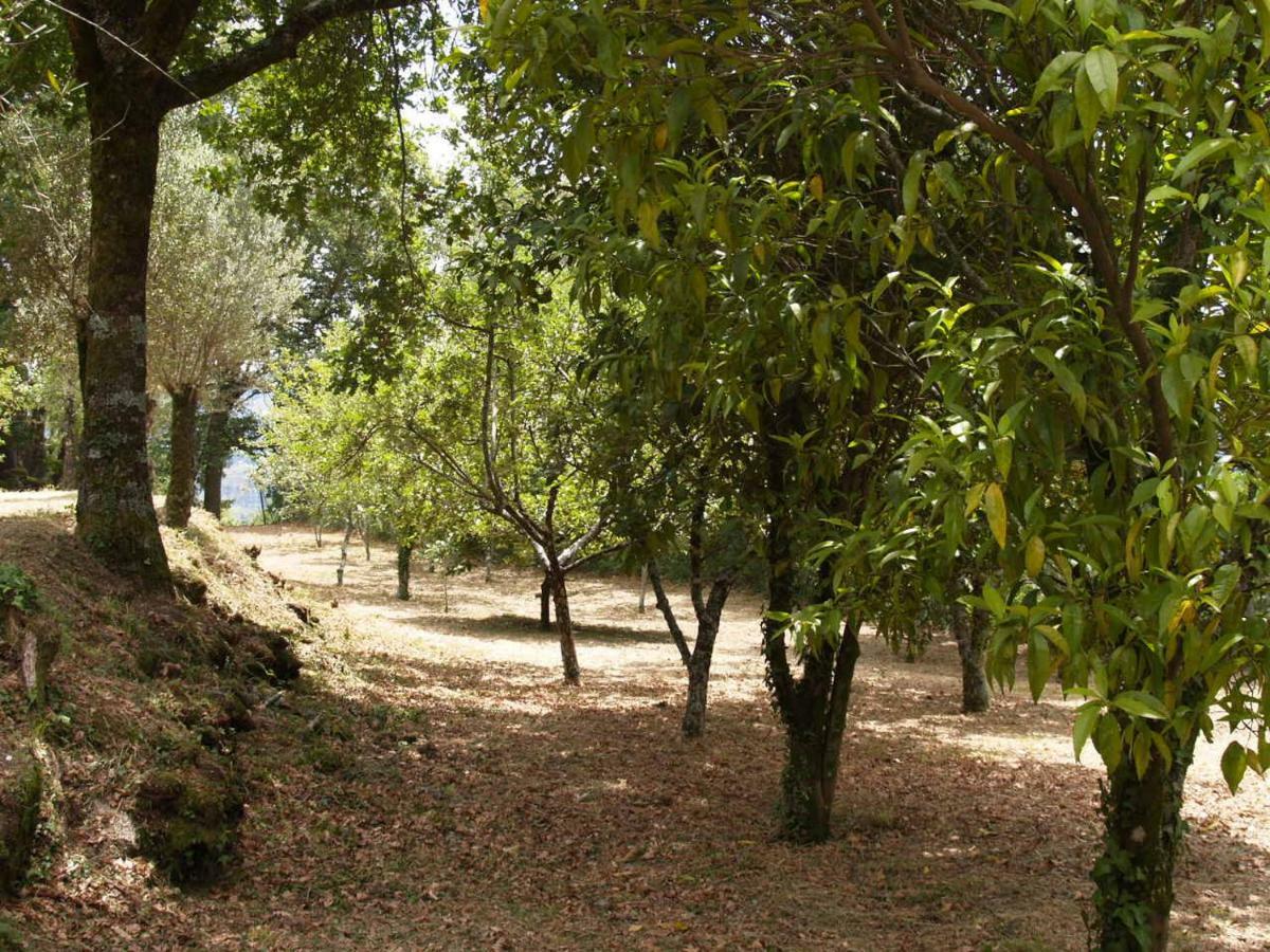 Quinta Gerês Terras de Bouro Exterior foto